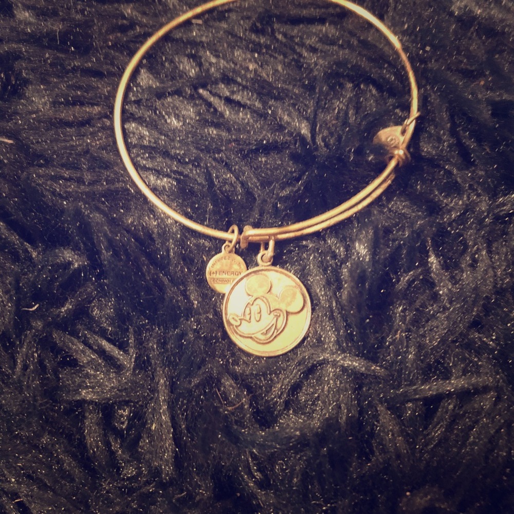 Disney Alex and Ani